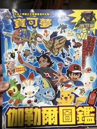 寶可夢圖鑑 2024近全新