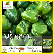 เมล็ดพันธุ์ พริกหวาน สีเขียว 50 เมล็ด Green Sweet Pepper seeds เมล็ดพันธุ์แท้ นำเข้าจากต่างประเทศ ปลูกผัก สวนครัว