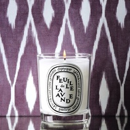Official Authentic Diptyque Aromatherapy Candle scented candle 190g