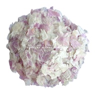 SEA SHELL FLAKES CAPIZ SHELL FLAKES SHELL FLAKES CAPIZ SEA SHELL NAIL ART SHELL FLAKES FLAKESnatural