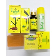 Temulawak Cream Set Package (day And Night Cream + Soap + Toner + Serum)