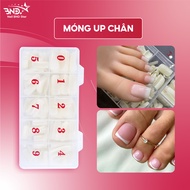 Móng up chân dài phom vuông - Hộp 500 móng up chân dài phom vuông dễ dùng đủ size 0-9 NailBND