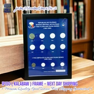 1P1SO (KALABAW) FRAME - NEXT DAY SHIPPING