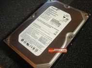 Seagate 希捷 SV35.2系列 影音監控碟 IDE界面 500G 7200轉 16M ST3500630AV