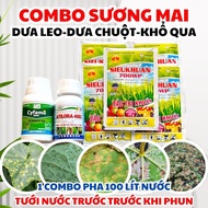 Combo kiểm soát sương mai cháy lá đốm lá dưa leo – Cyfamo 300SC + Atilora 48EC + SieuKhuan 700WP – P