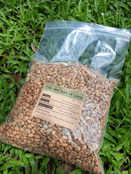 เมล็ดกาแฟดิบ THAI NAN SUAN YA LUANG 72hr Fermentation Natural DAY ONE COFFEE