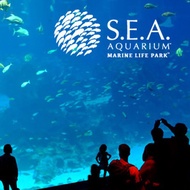 [S.E.A AQUARIUM] (Direct Entry) CHILD Standard Ticket (Age 4 - 12) E-Ticket (Open date e-ticket) Sea Aquarium/Singapore/Resorts World/Sentosa/E-Voucher/Attraction/Activities (Email Delivery)
