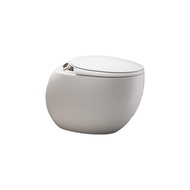 Smart Toilet Built-in Bidet Heated Seat Automatic Open/Close Tankless Remote Control Extended