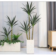 Mountain Wealth Tree Height 1,3m, 1.7m And 1.8m Decorative Tree Tree Tree Decorative Tree Tree Tree