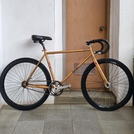 fullbike fixie brain atales size 50 chromoly