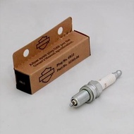 Harley Davidson Genuine 6R12 Spark Plug
