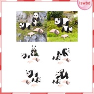 [lswbd] 4Pcs Panda Animal Life Cycle Model,Panda Growth Cycle Figures,Educational Toys,Party Classroom Accessories Kid,Girls
