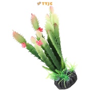 TYJC Simulation Cactus Plant, Plastic Simulation Plastic Cactus Plant, Decoration Aquatic Style Land
