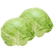 Green round cabbage seeds 300pcs Fr SG