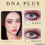 คอนแทคเลนส์ DNA Plus : Brown - Gray / ยี่ห้อ Gaezz Secret ( ค่าสายตาปกติ - 1000 )