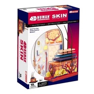 4D MASTER Human模型