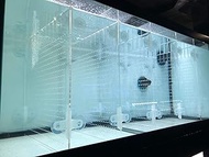 Acrylic Aquarium Divider Kit 5.5/10 / 20L / 20H / 29 / 40B / 55/75 / 125gal Fish Tank with Suction C