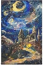RPLIFE a Painting That Shows The Starry Sky Over Tea Cloth, 28x18 Inch Super Absorbent Kitchen Towels, Summer Kitchen Towels