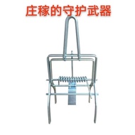 Mole Clip Ground Mice Mice Mice Trap Vole Ground Row Lamb Chop Ground Use Clip