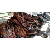 IKAN PATIN SALAI MURAH ORIEE DARI SUNGAI PAHANG [HARGA PROMO]