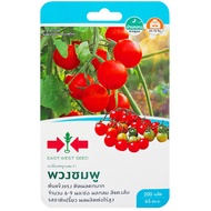 F1 Hybrid Tomato Seeds Pink Bunch