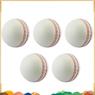 Sports Cricket, Training Cricket, Sports Wind Swing Rebound  Cricket, Elastic Decompression Ball can