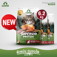 Clover สูตร Superior Protein (6.2 kg) ตัวแน่นพิเศษแน่ สำหรับแมวตัวแน่นพิเศษ อาหารแมว holistic grain-