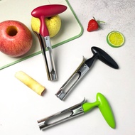 Stainless steel apple corer, fruit corer, simple apple corer, in stock