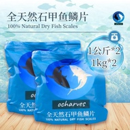 2KG 深海石甲鱼鳞 (中) | Dried Fish Scale (M) | Collagen