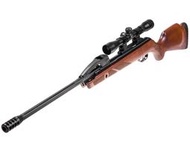 Speed千速(^_^)2019 NEW GAMO FAST SHOT 10X 5.5MM實木.金屬板機