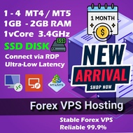 Vps forex + EA Robot Forex Percuma