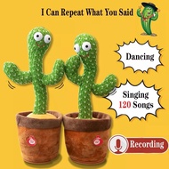 Dencing Cactus Cactus Plush Toy Talk Dancing toy song plush Dancing Cactus Early Childhood Education