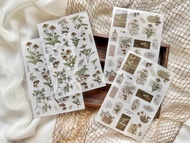 秋季的呢喃祝福 轉印貼紙包 共兩款