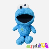 Cookie Monster Teddy Bear