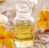 frangipani essential oil 100 ml minyak atsiri bunga kamboja
