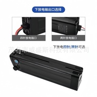 🔥Silverfish Discharge24V 36V 48V Rechargeable Lithium Battery for Electric Bicycle2Needle4Needle Hot