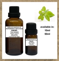 (JHR) MINYAK PATI TULEN - 100% PURE E/O - PEPPERMINT MITCHAM EO (AUROMA/AUSTRALIA) 100%纯单方精油 - 胡椒薄荷 