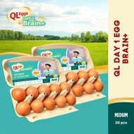 QL Brain+  Day 1 Egg - Medium 20pcs Fresh Egg Farm Fresh Egg Telur Segar
