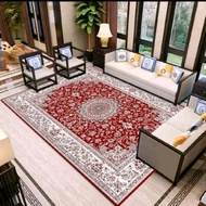 Modern Living Room Carpet Velvet Rug Karpet Baldu Anti Slip Karpet Ruang Tamu Murah & Cantik Size M 