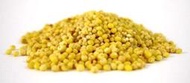 熊安心 Organic Millet 美國有機小米 500g