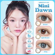 ##รุ่นวอนยอง IVE ⭐️ คอนแทคเลนส์ Mini Dawn Brown / Gray / Light Brown (Kitty Kawaii) ขนาดมินิ ##