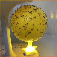 Indoor Insect Trap Ball Sticky Insect Small Fly Trap Fly Trap