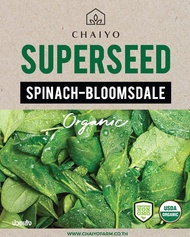 เมล็ด SPINACH-Bloomsdale (Organic) ปวยเล้ง