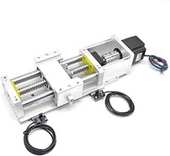 Electric Linear Stage Actuator Travel Length 100mm Ballscrew 1605 Double Optical Axis Linear Rail Gu