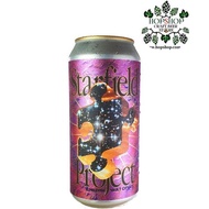 Elmeleven x Vault City Starfield Project Sour 440ml
