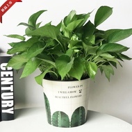 Flowerpot Huilimei Flower Pot Container/Nordic Style Manufacturer Painted Home Lazy Self-Absorbing C