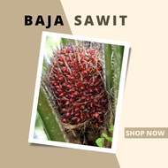 BAJA KELAPA SAWIT (25KG/GUNI) BAJA PAKSA BUAH / BAJA HIGH K / BAJA BERATKAN BUAH SAWIT