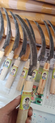 ARIT RUMPUT BERGERIGI UD.EKA DEWI