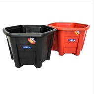 Pot Segi 6 Camelia 33cm vas Tanaman Hias benih bibit bunga kaktus anggrek net pot netpot hidroponik