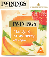 芒果士多啤梨和青檸洛神花水果茶 20茶包- 英國進口 - EXP: 2027.05